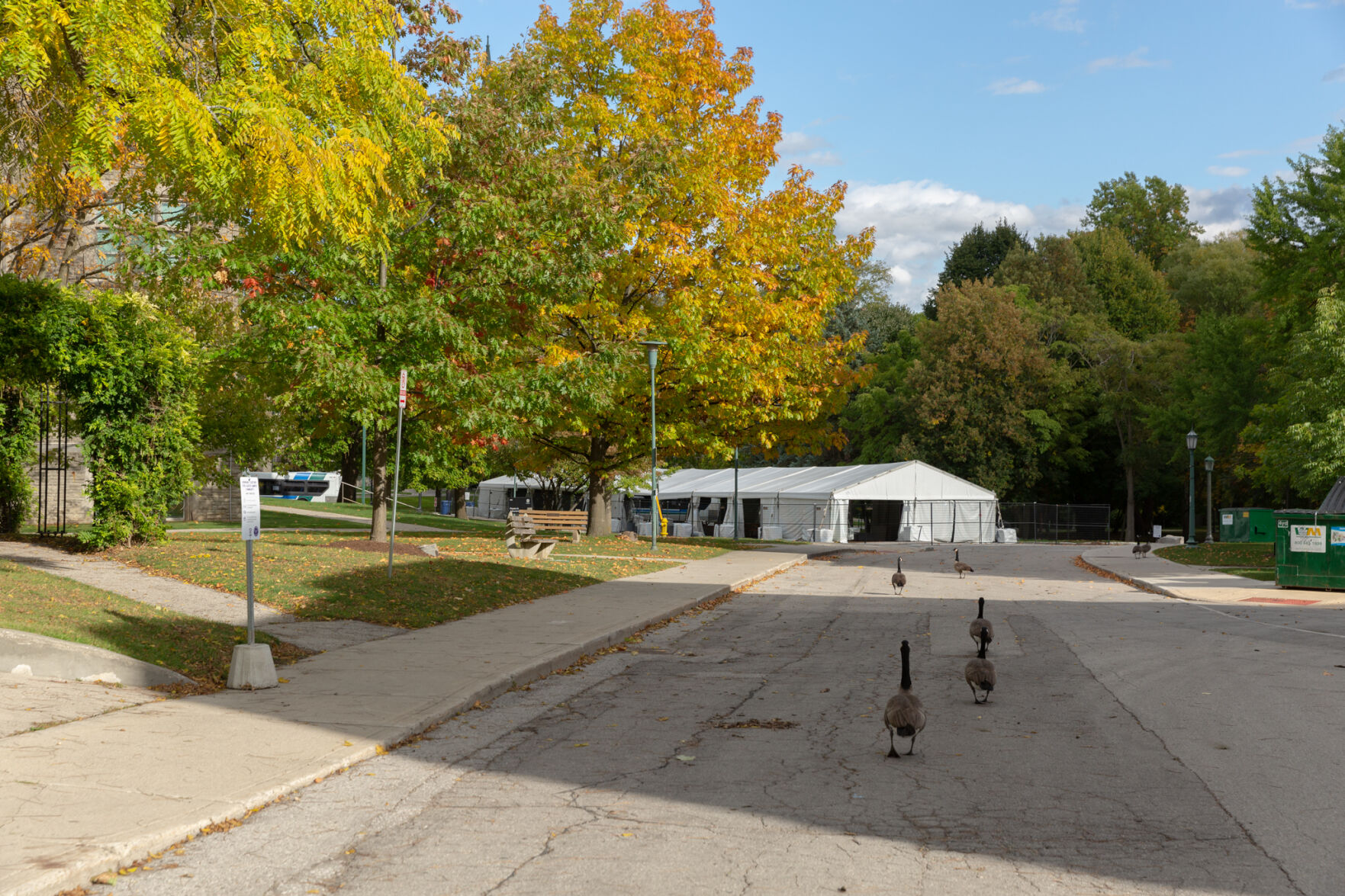 Stock Photos of Campus - 20.jpg